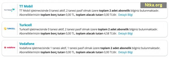 edevlet borç sorgulama